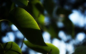 日志管理